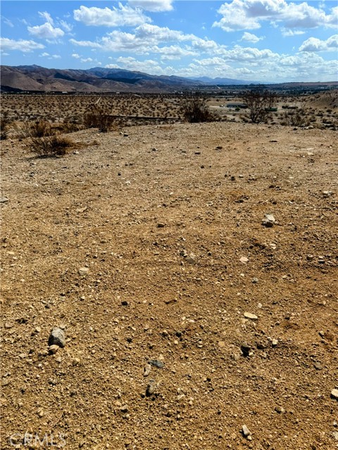 MLS #JT25206687 image #3