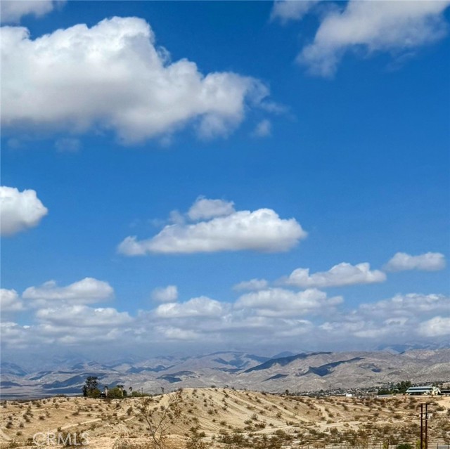 MLS #JT25206687 image #4