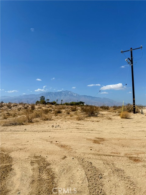 MLS #JT25206687 image #5