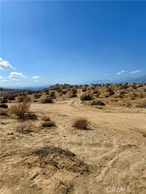 MLS #JT25206687 image #6