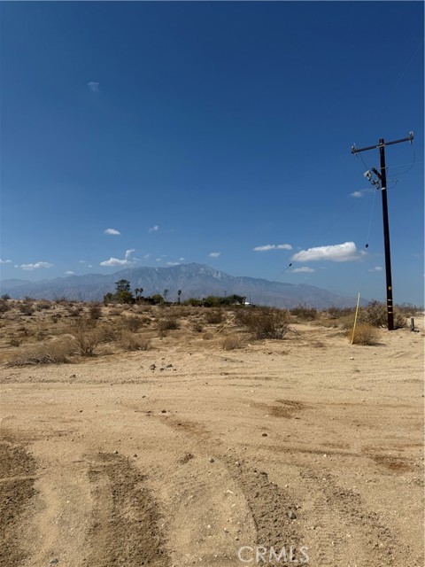 MLS #JT25206687 image #7