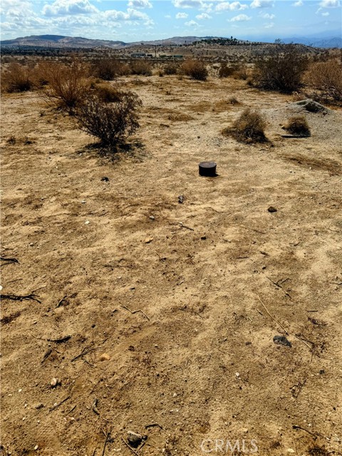 MLS #JT25206687 image #8