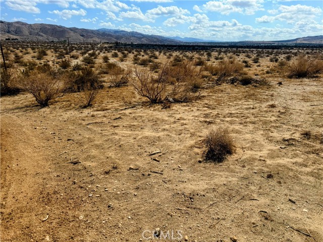 MLS #JT25206687 image #9