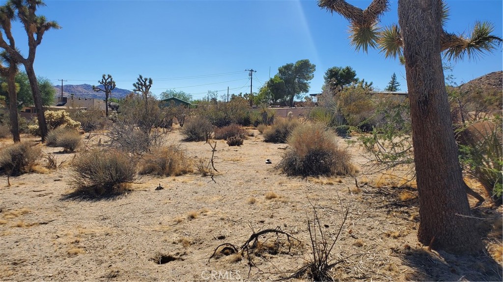 MLS #JT25207371 image #3