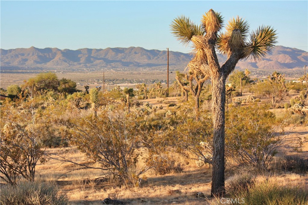 MLS #JT25207591 image #1