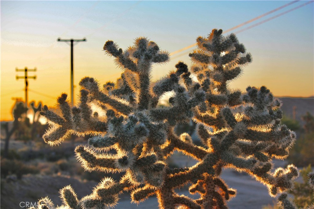 MLS #JT25207591 image #12