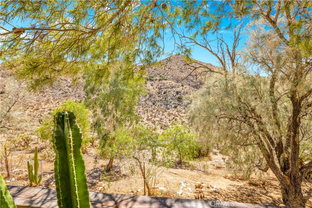 MLS #JT25214208 image #26