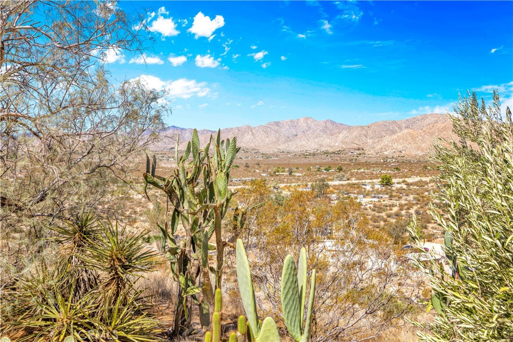 MLS #JT25214208 image #29