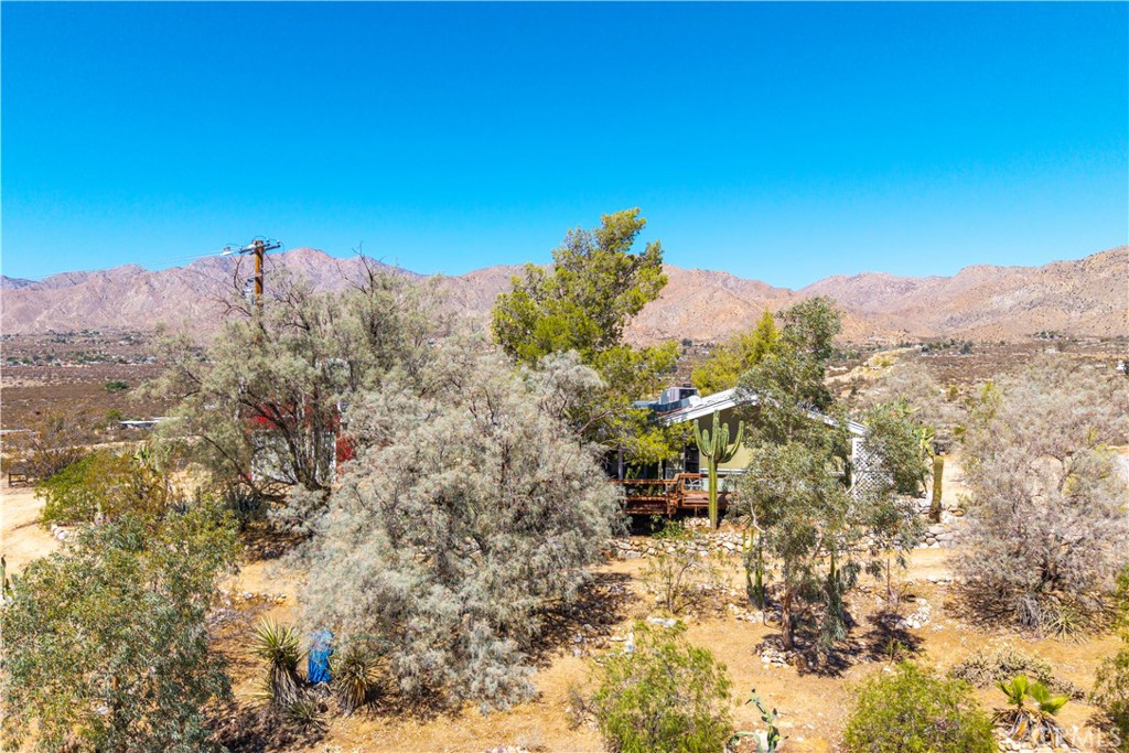 MLS #JT25214208 image #38