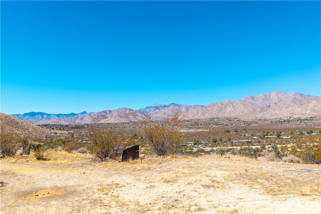 MLS #JT25214208 image #41