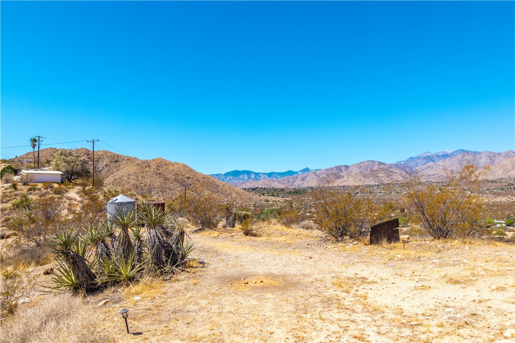 MLS #JT25214208 image #42