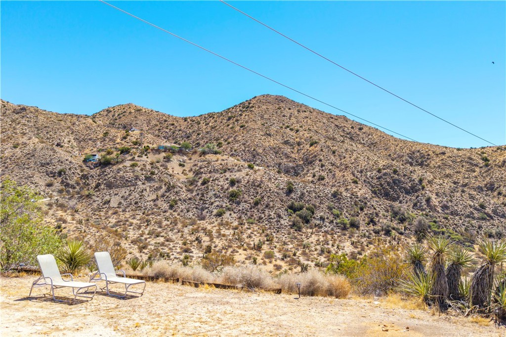 MLS #JT25214208 image #43