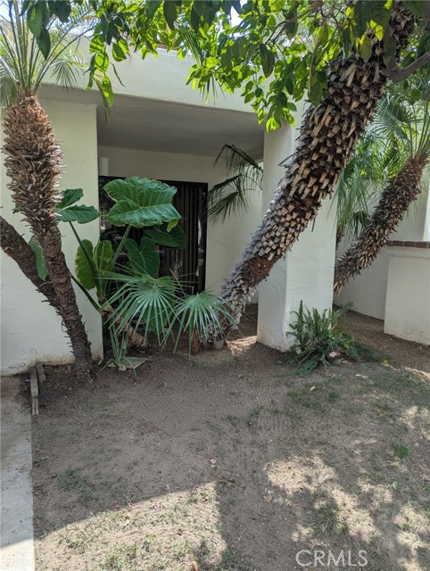 MLS #JT25214402 image #7