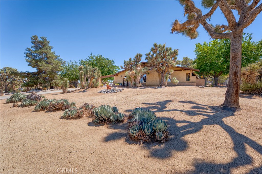 MLS #JT25214437 image #1