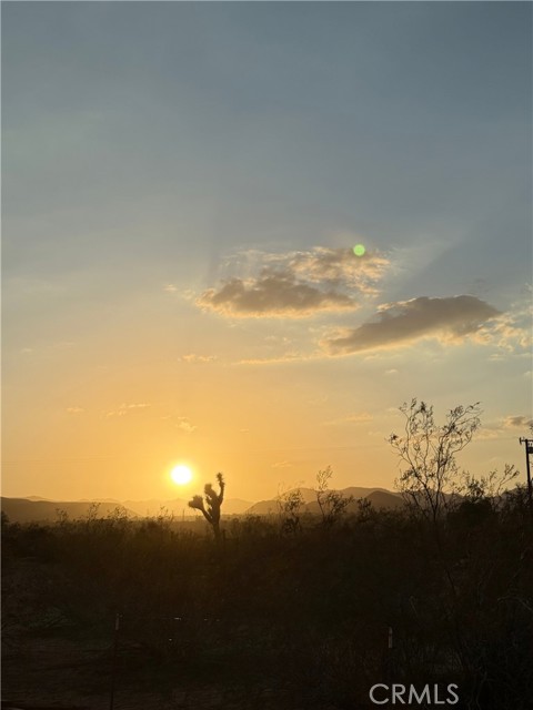 MLS #JT25215137 image #16