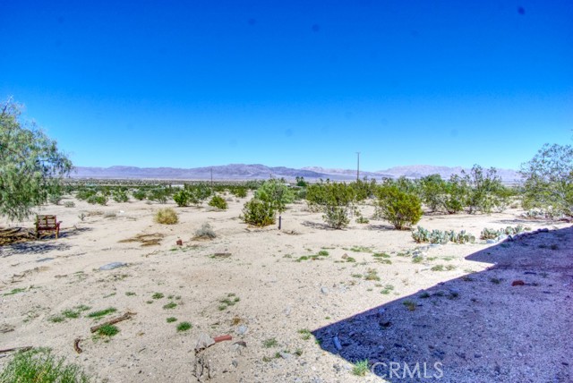 MLS #JT25215561 image #4