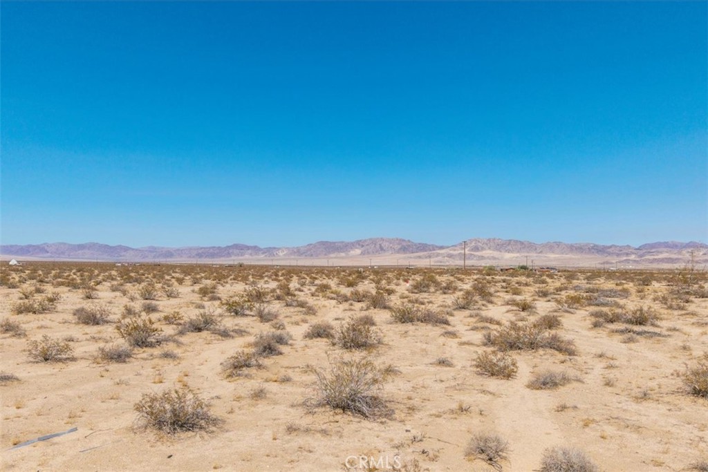 MLS #JT25215956 image #17