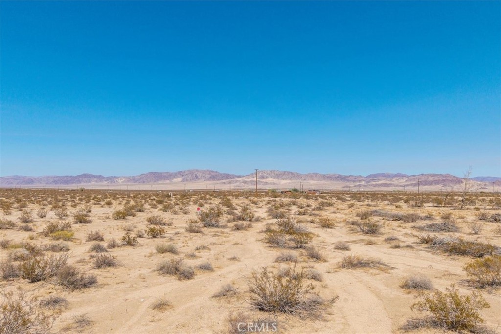 MLS #JT25215956 image #18