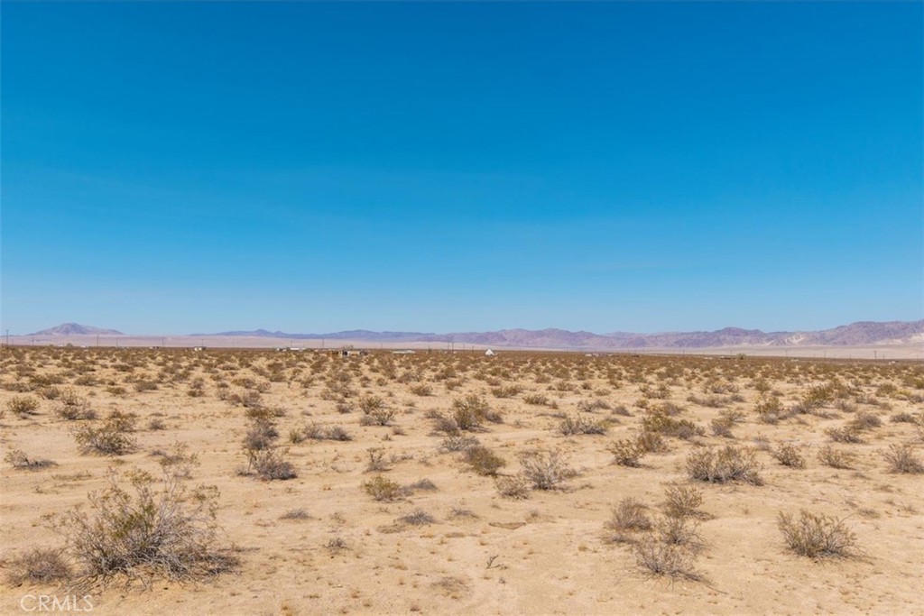 MLS #JT25215956 image #26