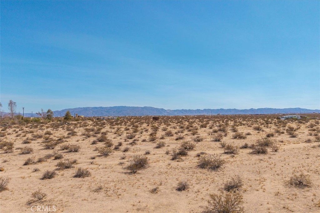 MLS #JT25215956 image #30