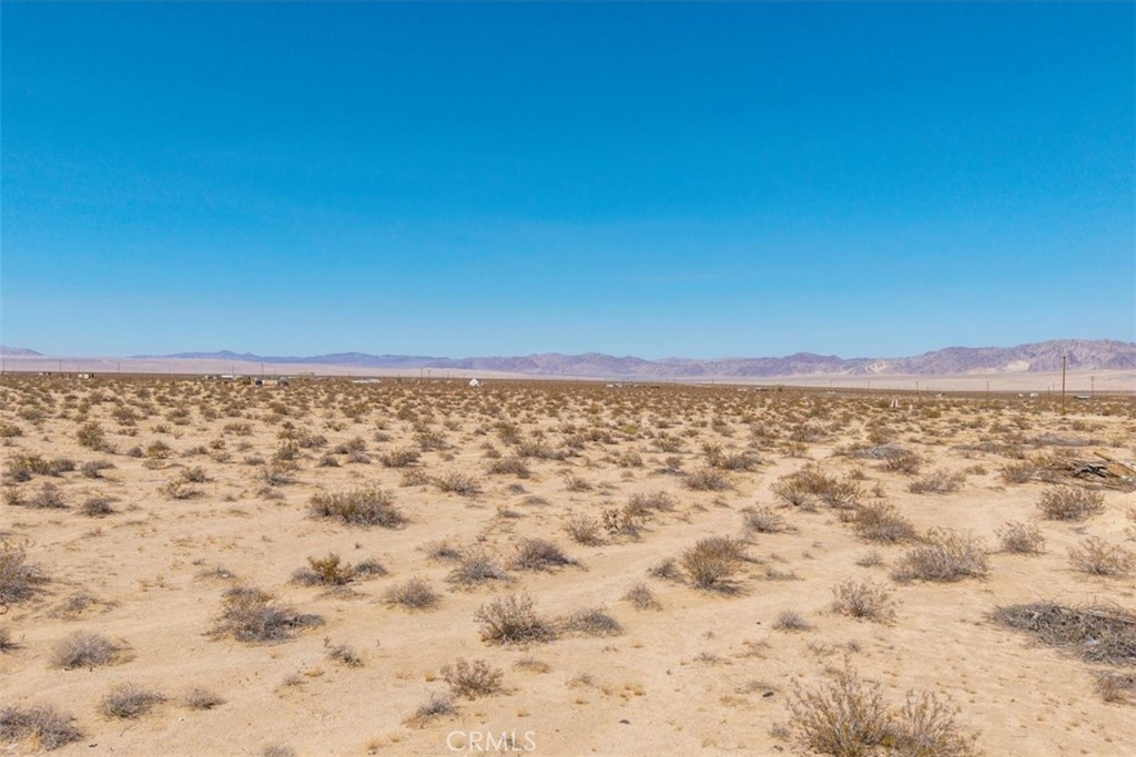 MLS #JT25215956 image #32