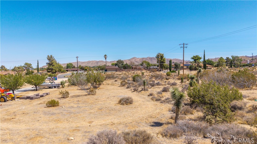 MLS #JT25216061 image #11