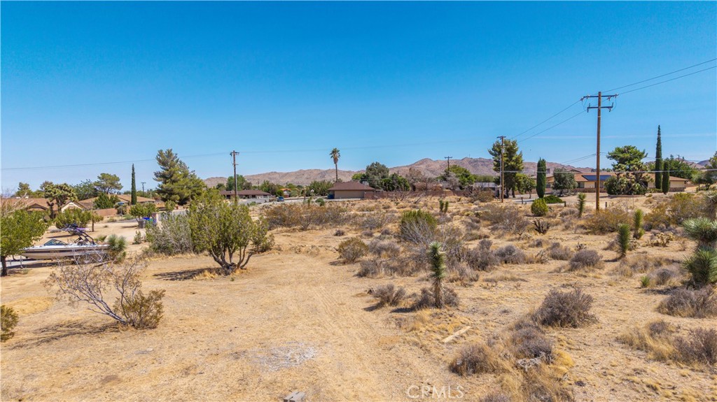 MLS #JT25216061 image #12