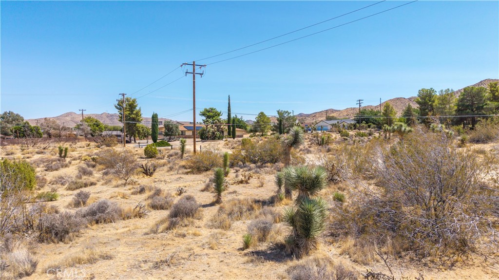 MLS #JT25216061 image #13