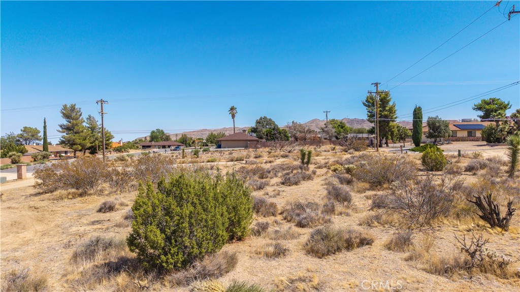 MLS #JT25216061 image #14