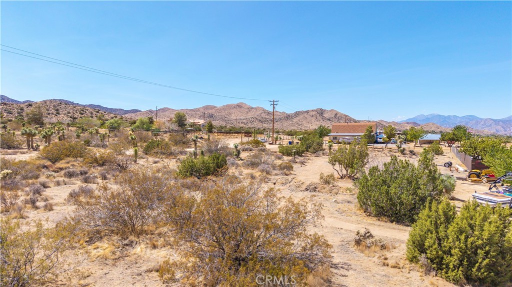 MLS #JT25216061 image #15