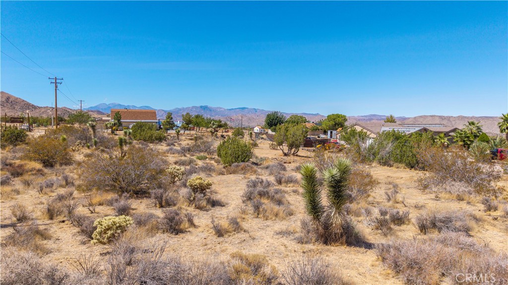 MLS #JT25216061 image #17