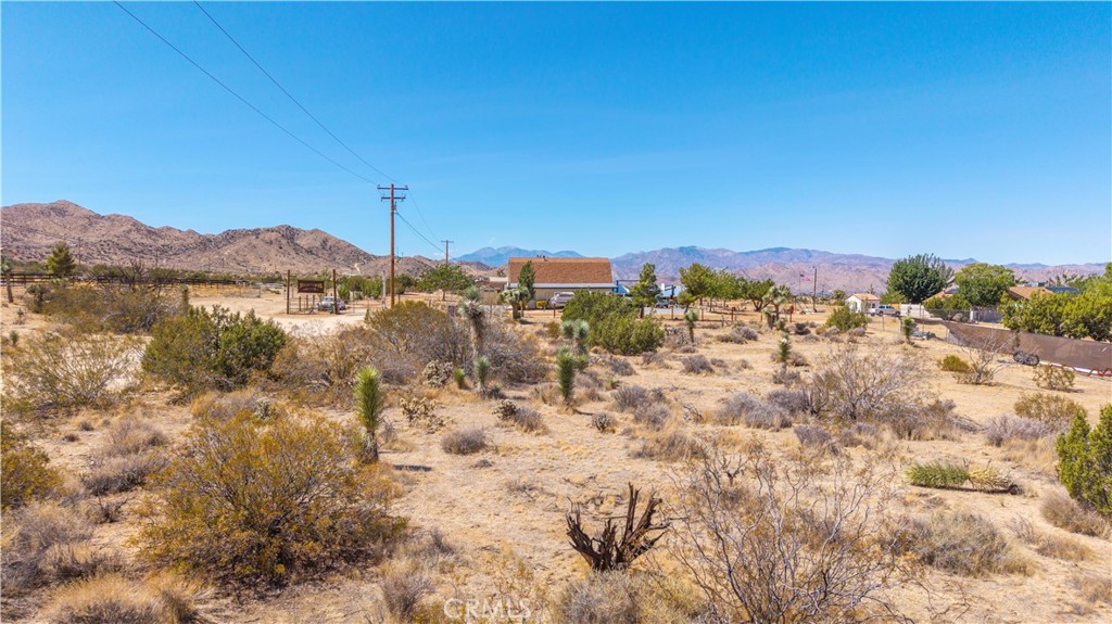 MLS #JT25216061 image #18