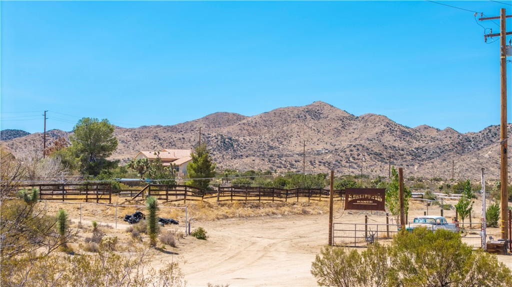 MLS #JT25216061 image #20