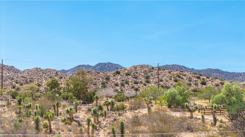 MLS #JT25216061 image #21