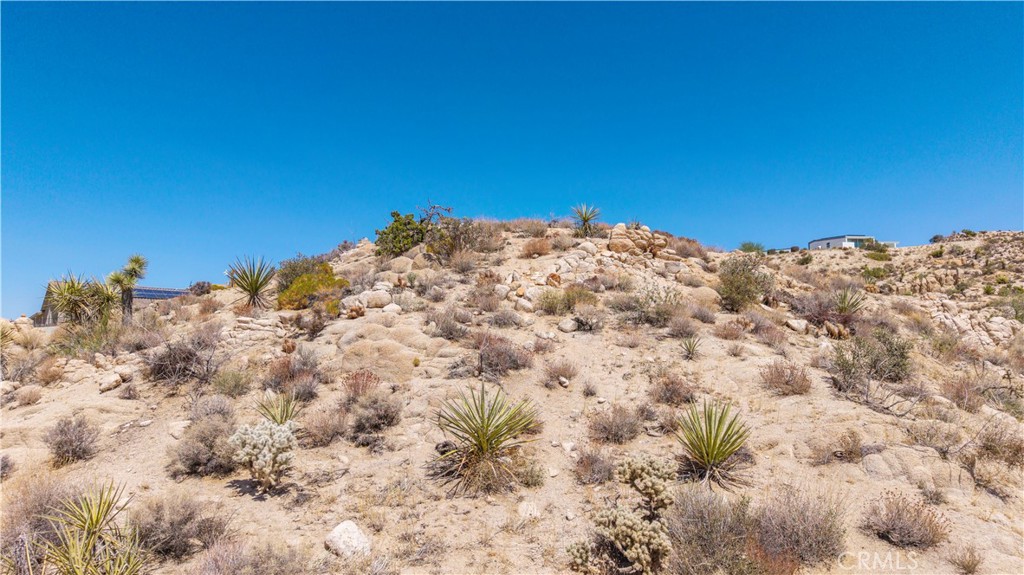 MLS #JT25216073 image #21