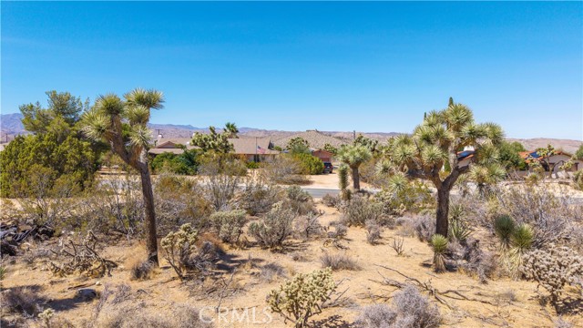 MLS #JT25216098 image #10