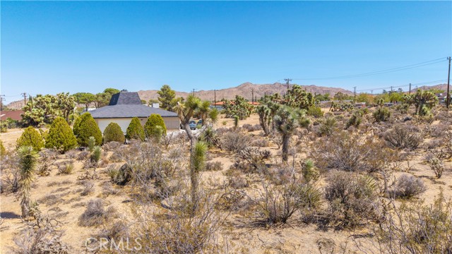 MLS #JT25216098 image #12