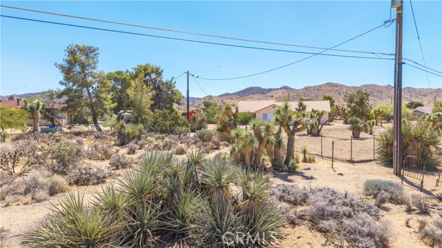 MLS #JT25216098 image #14