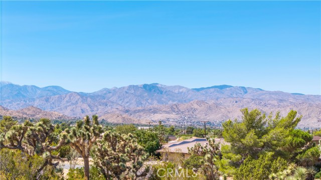 MLS #JT25216098 image #17