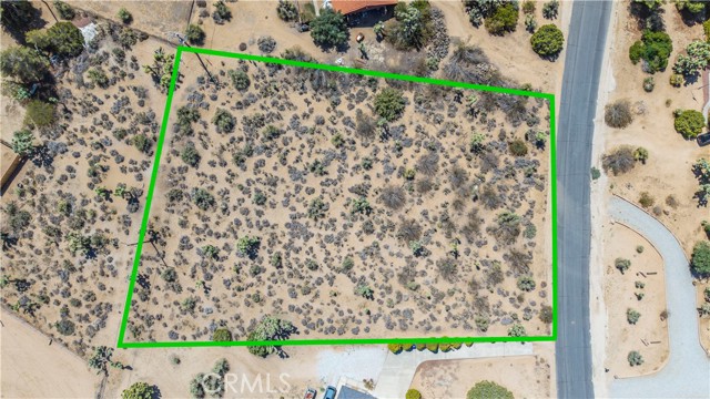 MLS #JT25216098 image #18