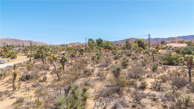 MLS #JT25216098 image #2