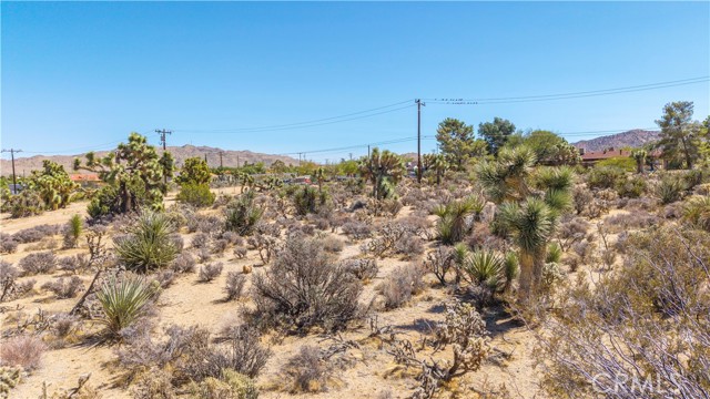 MLS #JT25216098 image #3