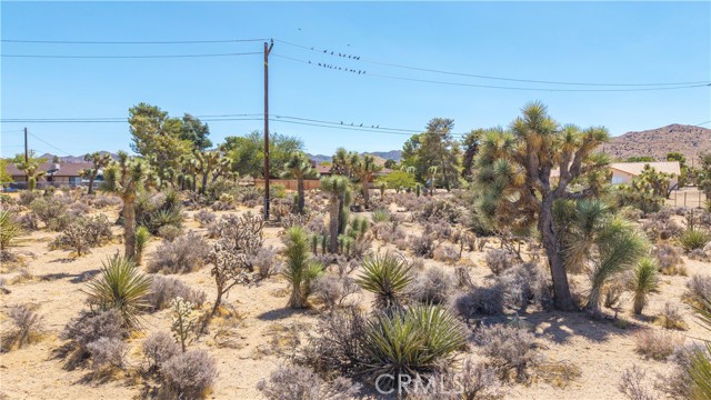 MLS #JT25216098 image #5