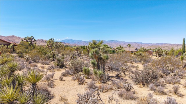 MLS #JT25216098 image #6