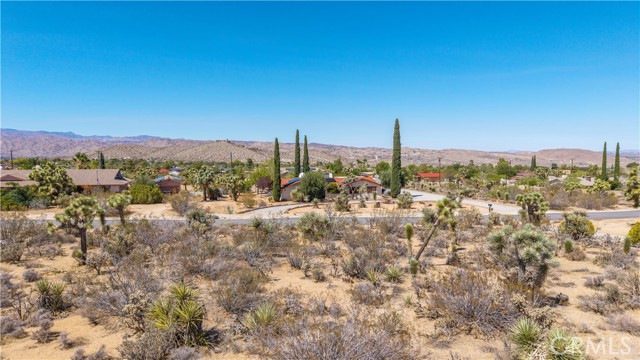 MLS #JT25216098 image #8