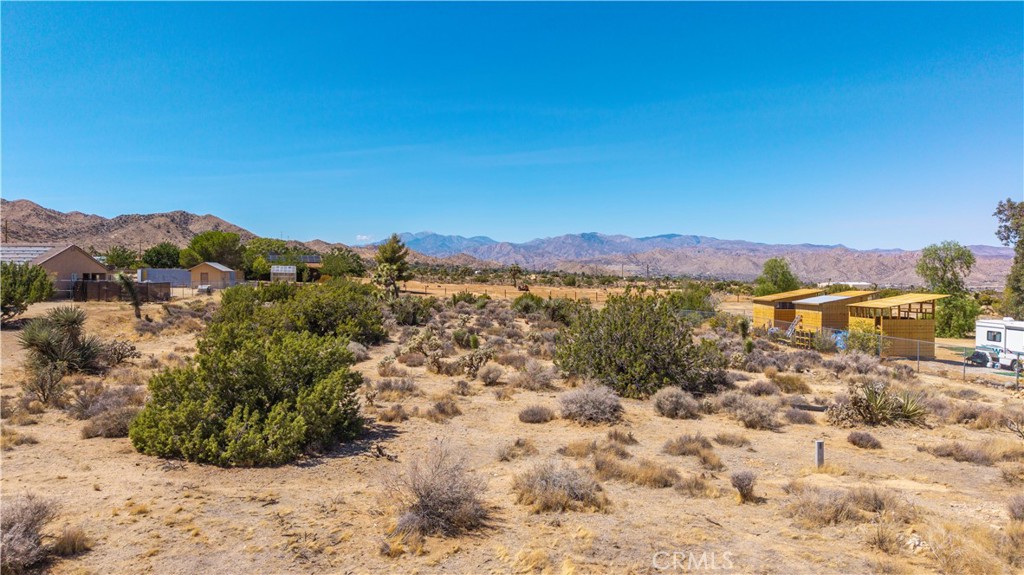 MLS #JT25216131 image #11