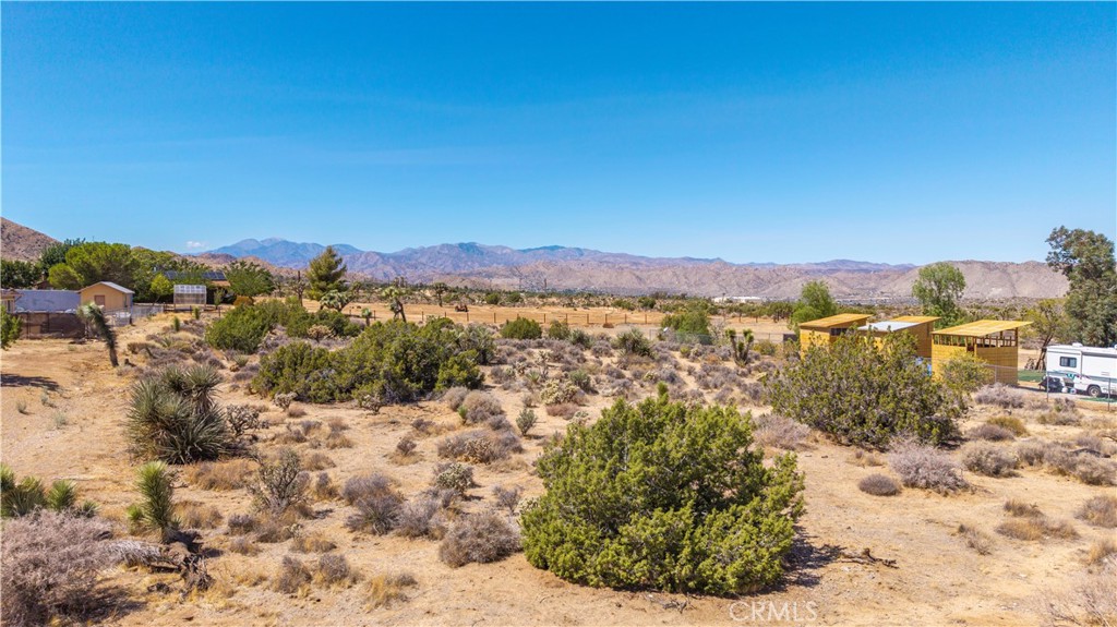 MLS #JT25216131 image #12