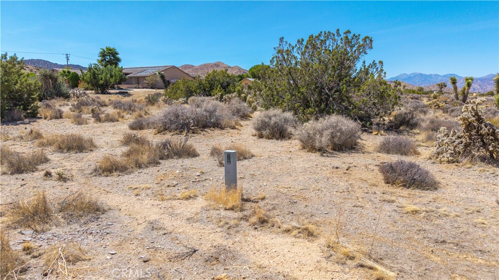 MLS #JT25216131 image #14