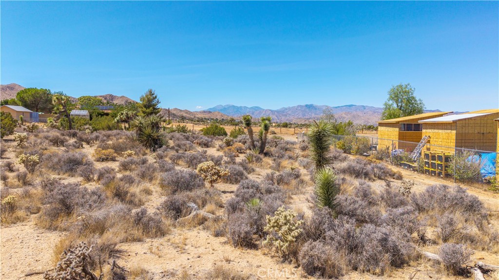 MLS #JT25216131 image #15