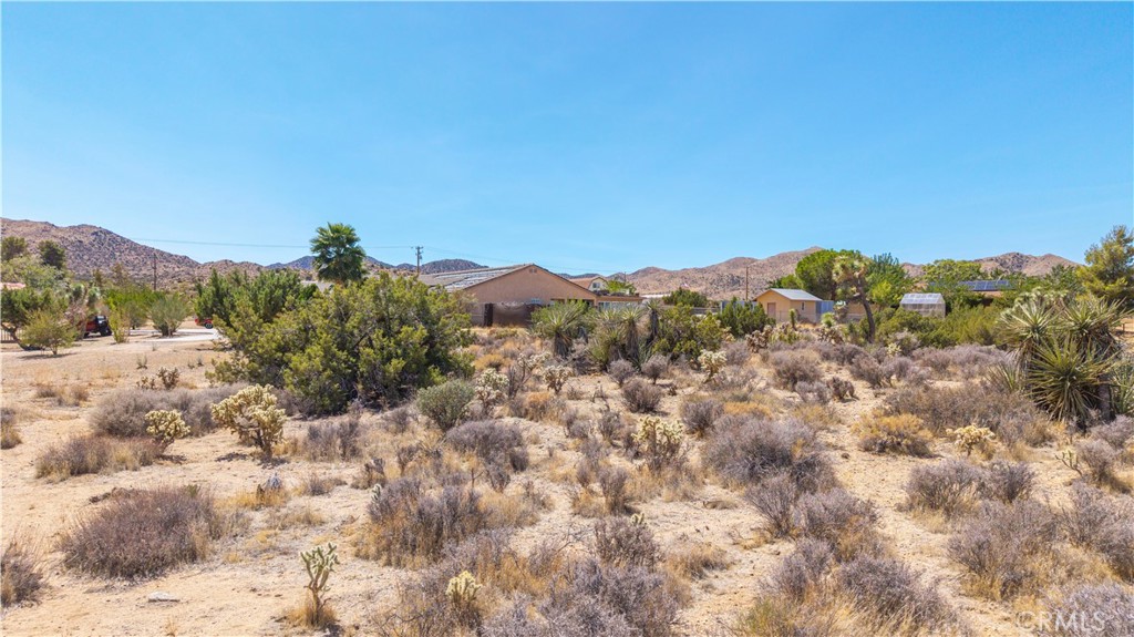 MLS #JT25216131 image #16